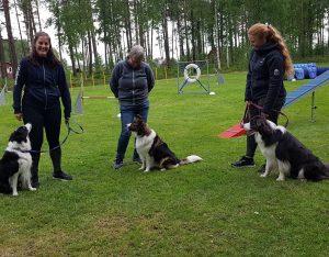 Hundmötesträning - endast bokade platser @ Lidköpings Brukshundklubb (17/6 stadsträdgården)