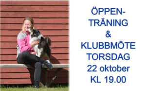 Öppenträning + klubbmöte 22/10 @ Lidköpings Brukshundklubb