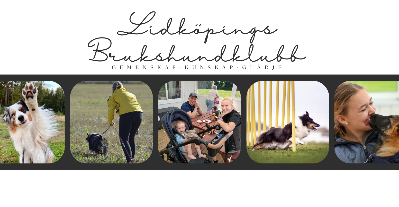 Lidköpings Brukshundklubb 2