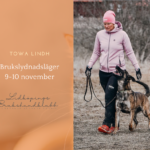 Brukslydnadsläger med Towa Lindh 9-10/11