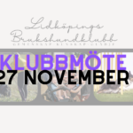 Klubbmöte 27/11