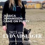 Lydnadsläger med Jessica Johansson 17-18/4