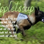 Uppletscup i Lisch maj-juli